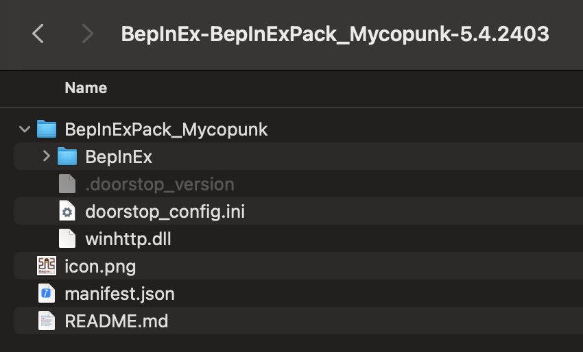 Extracting BepInEx